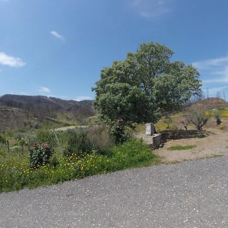 בית כפרי Palheiros Da Ribeira *