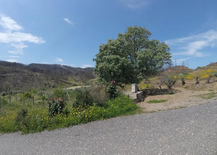 Landhaus Palheiros Da Ribeira *